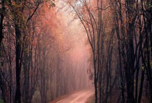 如何開(kāi)展水土保持現(xiàn)場(chǎng)巡視工作？